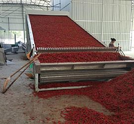 網(wǎng)帶式辣椒烘干機(jī)